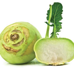 کلم قمری ممتاز