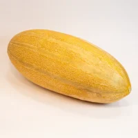 خربزه