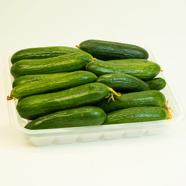 خیار اصلاحی ممتاز