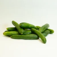 خیار4