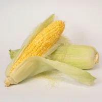 ذرت