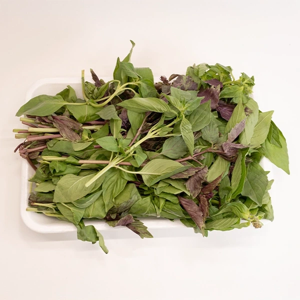 ریحان تازه بسته بندی