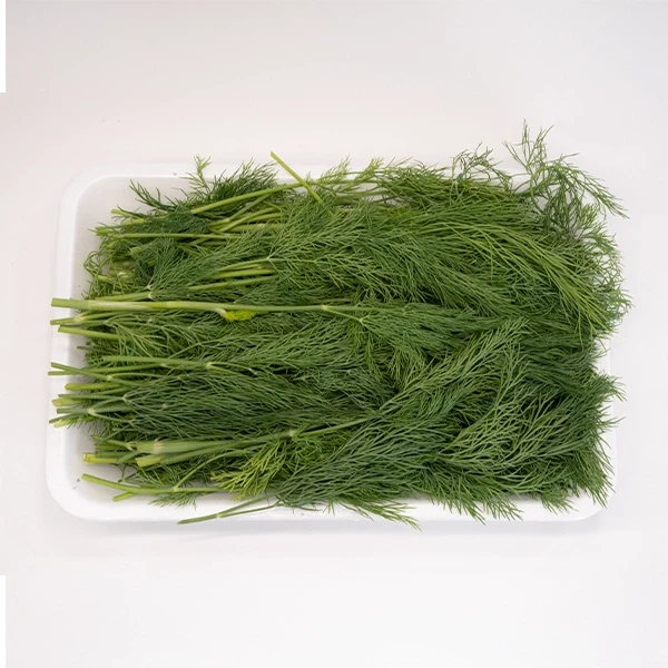 شوید تازه بسته بندی(400 گرمی)