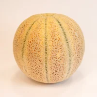 طالبی