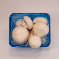قارچ