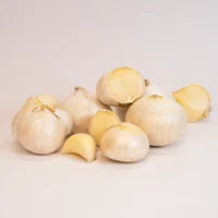 موسیر