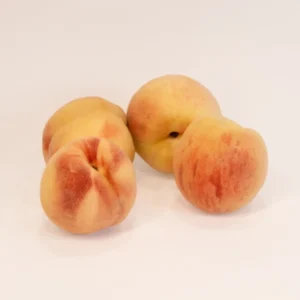 هلو آلبرت ویژه تهران