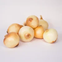 پیاز سفید