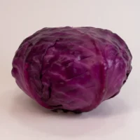 کلم برگ قرمز