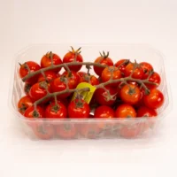 گوجه گیلاسی